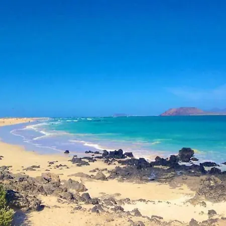 Tiffany * 코라레호